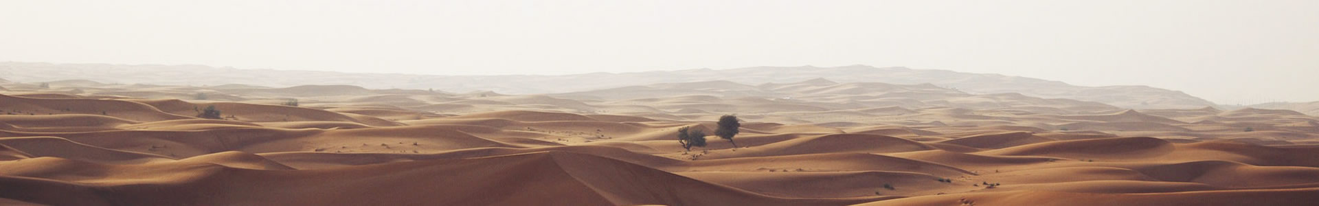 Ļ޹˾